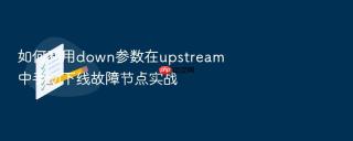 如何利用down参数在upstream中手动下线故障节点实战