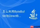 怎么利用ByteBuffer与DirectBuffer规避垃圾回收期的内存碎片抖动