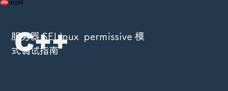 服务器 selinux  permissive 模式调试指南