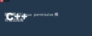 服务器 selinux  permissive 模式调试指南
