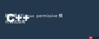 服务器 SELinux  permissive 模式调试指南