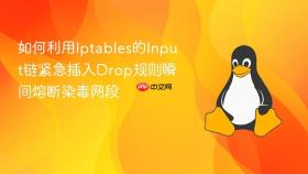 如何利用iptables的input链紧急插入drop规则瞬间熔断染毒网段