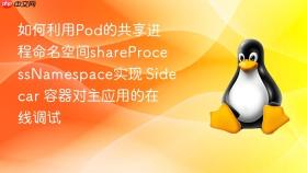 如何利用pod的共享进程命名空间shareprocessnamespace实现 sidecar 容器对主应用的在线调试