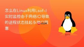 怎么在linux利用lsof-i实时监控由于网络io导致的进程状态挂起与端口阻塞