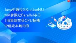 Java中通过XX:+UseNUMA参数让Parallel与G1收集器在多CPU插槽中绑定本地内存
