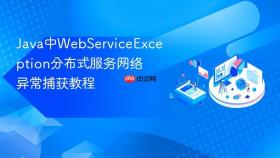 java中webserviceexception分布式服务网络异常捕获教程