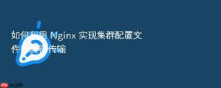 如何利用 nginx 实现集群配置文件的加密传输