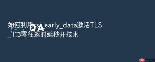 如何利用ssl_early_data激活tls_1.3零往返时延秒开技术