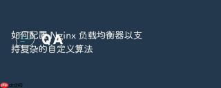 如何配置 Nginx 负载均衡器以支持复杂的自定义算法