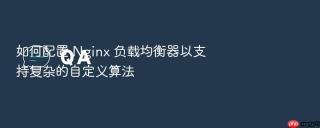 如何配置 nginx 负载均衡器以支持复杂的自定义算法
