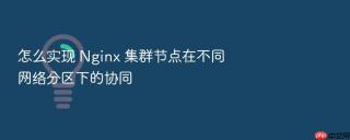 怎么实现 nginx 集群节点在不同网络分区下的协同
