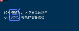 如何构建 nginx 与安全运营中心（soc）的集群告警联动