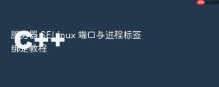 服务器 SELinux 端口与进程标签绑定教程