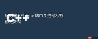 服务器 selinux 端口与进程标签绑定教程