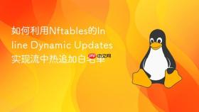 如何利用Nftables的Inline Dynamic Updates实现流中热追加白名单