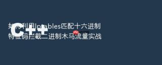 如何利用Iptables匹配十六进制特征码拦截二进制木马流量实战