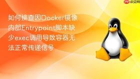 如何排查因Docker镜像内部Entrypoint脚本缺少exec调用导致容器无法正常传递信号