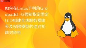 如何在linux下利用groupadd -g强制指定固定gid构建全线服务器账号及权限模型的绝对矩阵对称性