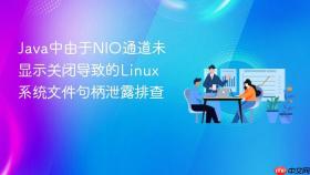 java中由于nio通道未显示关闭导致的linux系统文件句柄泄露排查