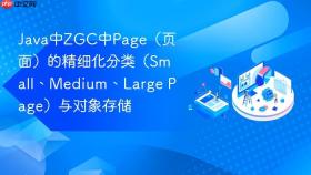 java中zgc中page(页面)的精细化分类(small、medium、large page)与对象存储