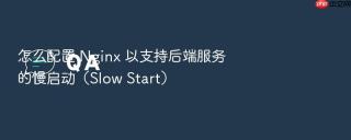 怎么配置 Nginx 以支持后端服务的慢启动（Slow Start）