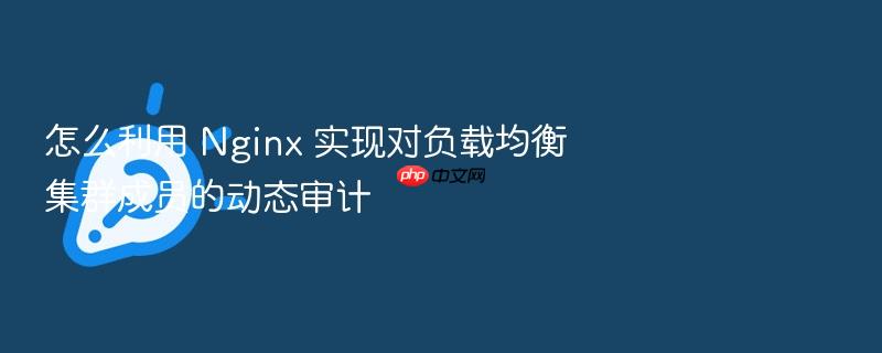 怎么利用 nginx 实现对负载均衡集群成员的动态审计