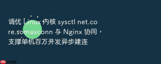 调优 linux 内核 sysctl net.core.somaxconn 与 nginx 协同,支撑单机百万并发异步建连