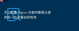 怎么配置 nginx 负载均衡器以提供统一的流量监控视角