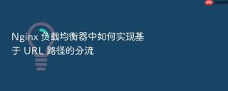 Nginx 负载均衡器中如何实现基于 URL 路径的分流