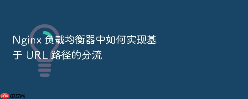 nginx 负载均衡器中如何实现基于 url 路径的分流