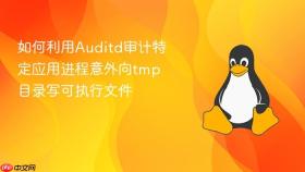 如何利用Auditd审计特定应用进程意外向tmp目录写可执行文件