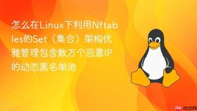 怎么在linux下利用nftables的set（集合）架构优雅管理包含数万个恶意ip的动态黑名单池