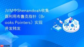 jvm中shenandoah收集器利用布鲁克指针(brooks pointers)实现并发转发