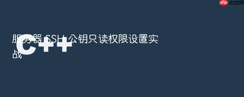 服务器 ssh 公钥只读权限设置实战