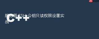 服务器 ssh 公钥只读权限设置实战