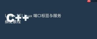 linux selinux 端口标签与服务绑定教程
