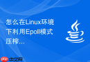 怎么在Linux环境下利用Epoll模式压榨Java非阻塞网络通信的吞吐极限