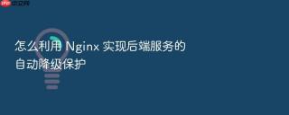 怎么利用 nginx 实现后端服务的自动降级保护