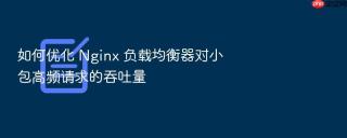 如何优化 nginx 负载均衡器对小包高频请求的吞吐量