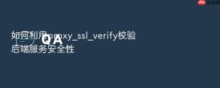 如何利用proxy_ssl_verify校验后端服务安全性