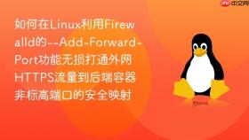 如何在Linux利用Firewalld的--Add-Forward-Port功能无损打通外网HTTPS流量到后端容器非标高端口的安全映射