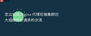 怎么实现 nginx 代理后端集群对大规模并发请求的分流