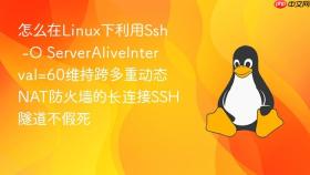 怎么在linux下利用ssh -o serveraliveinterval=60维持跨多重动态nat防火墙的长连接ssh隧道不假死