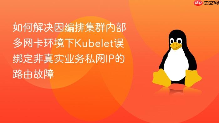 如何解决因编排集群内部多网卡环境下kubelet误绑定非真实业务私网ip的路由故障