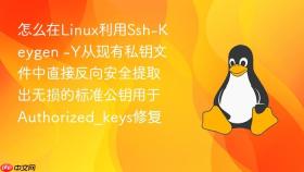 怎么在linux利用ssh-keygen -y从现有私钥文件中直接反向安全提取出无损的标准公钥用于authorized_keys修复