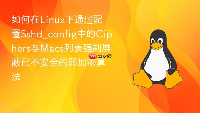 如何在linux下通过配置sshd_config中的ciphers与macs列表强制屏蔽已不安全的弱加密算法