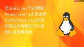 怎么在Linux下处理因/home/user/.ssh目录或Authorized_keys文件权限过大导致的SSH密钥认证直接拒绝