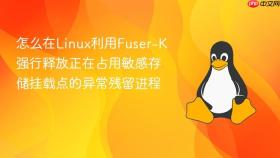 怎么在Linux利用Fuser-K强行释放正在占用敏感存储挂载点的异常残留进程
