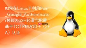 如何在linux下利用pam_google_authenticator模块为ssh轻量化配置基于totp的双因子（2fa）认证