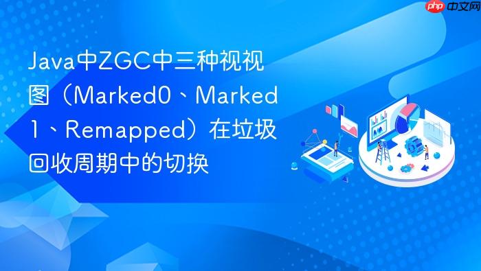 java中zgc中三种视视图(marked0、marked1、remapped)在垃圾回收周期中的切换